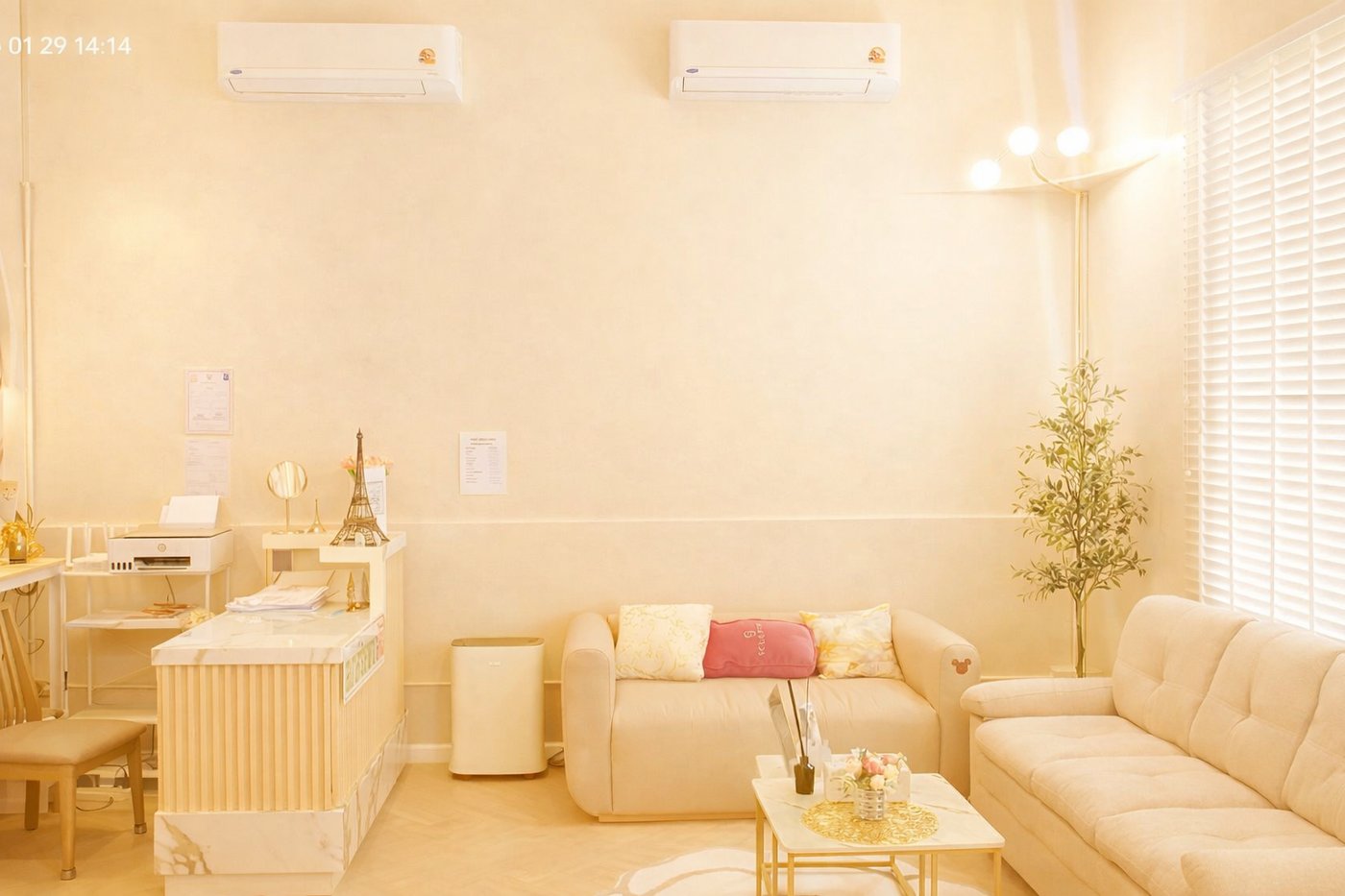 พื้นที่ต้อนรับ — Elysees Clinic